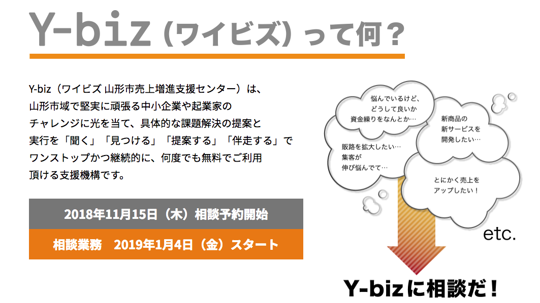 ybiz1901017