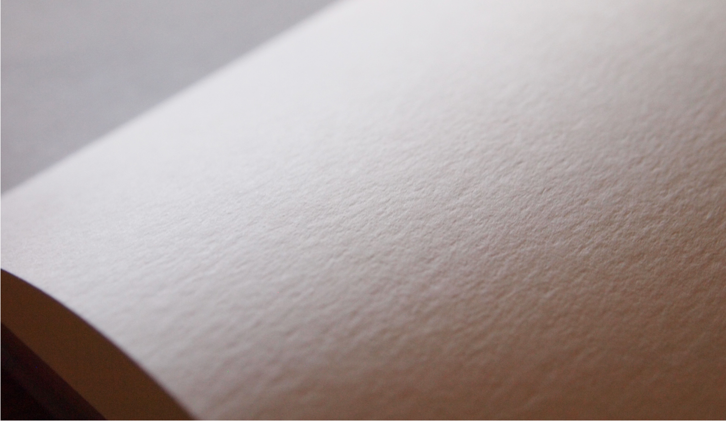 竹尾_ビオトープ